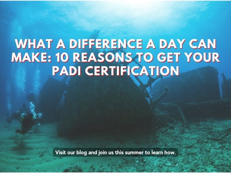 What a difference a day can make: 10 Reasons to get Your PADI Certification